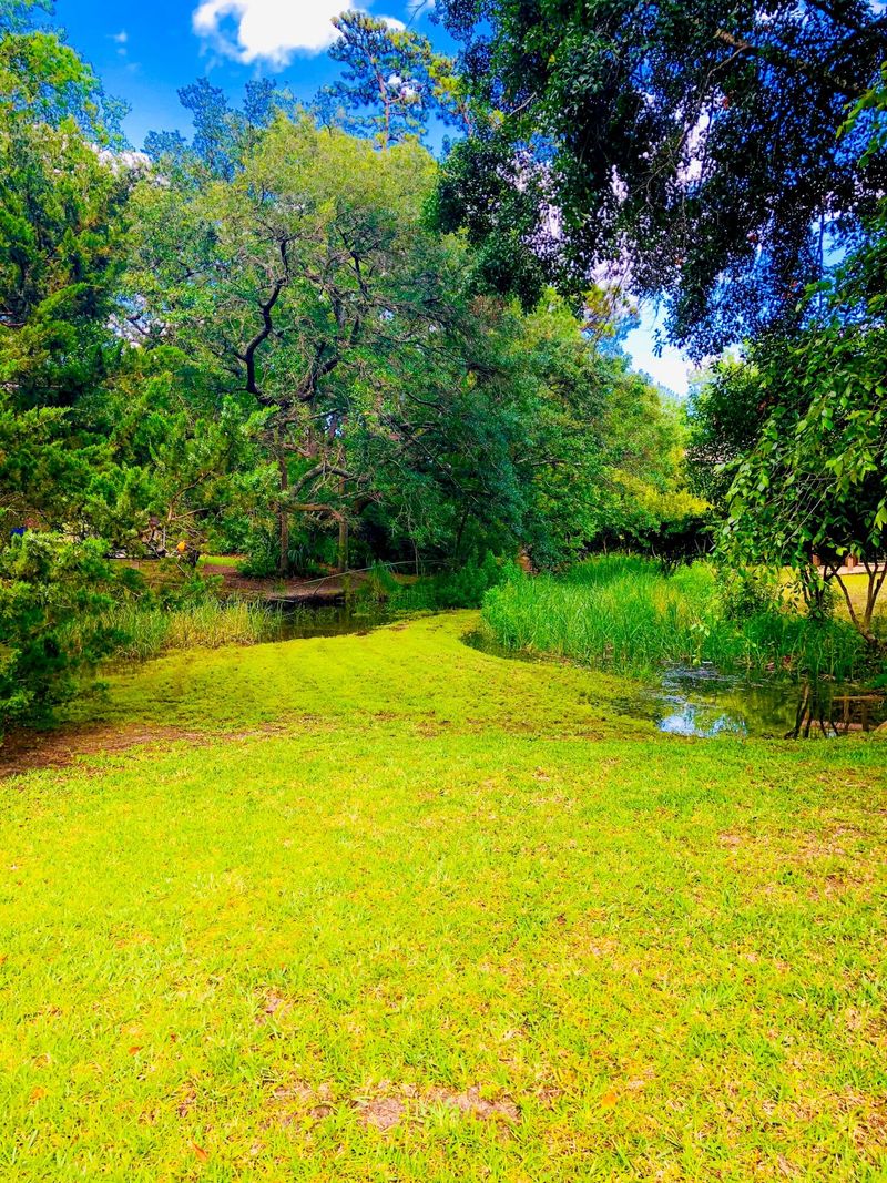 1725 Carterett Ave, Charleston, SC 29407
