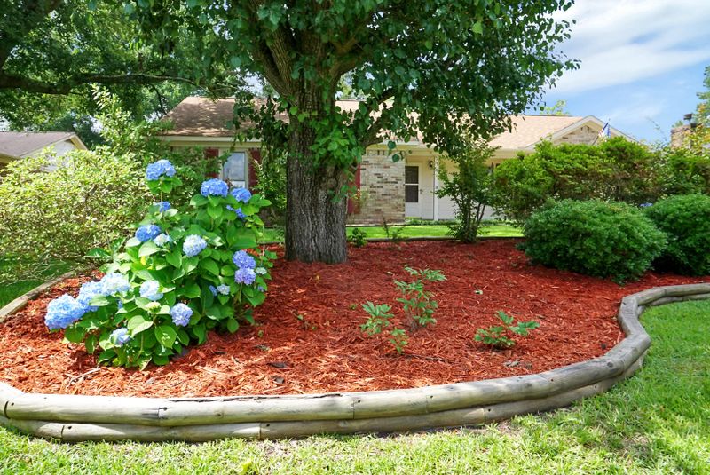 202 Kirksey Dr, Summerville, SC 29485
