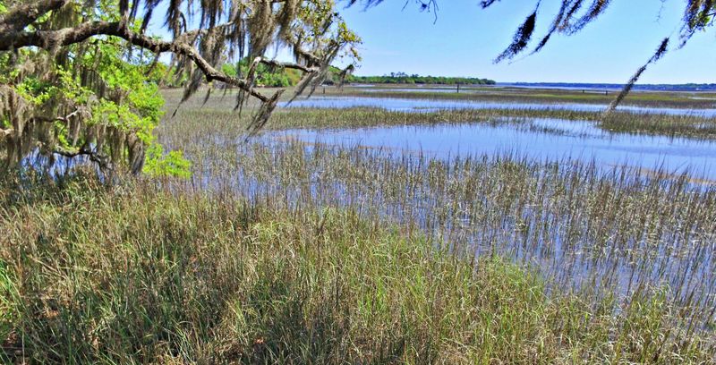 6443 Meggett Creek Rd, Meggett, SC 29449