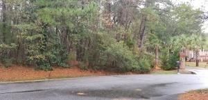 209 Ferry Point Dr, Wando, SC 29492