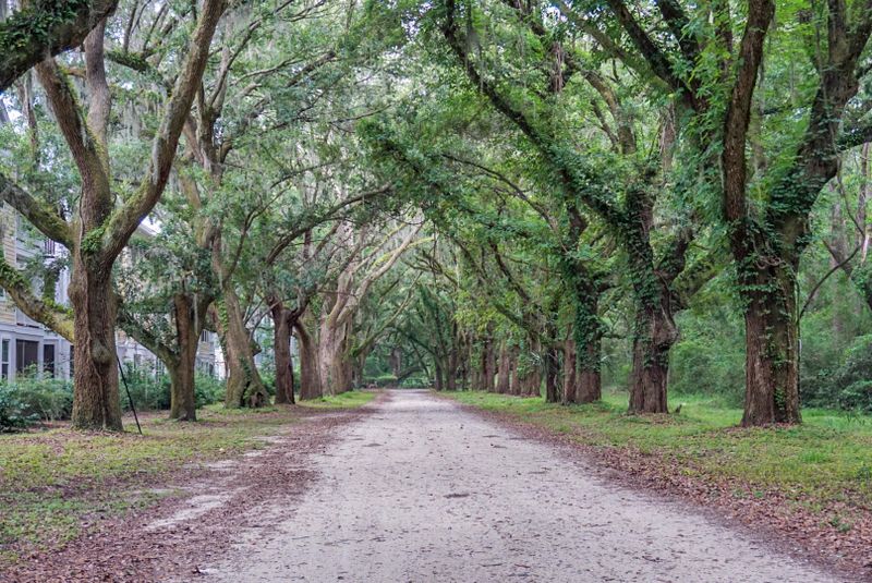 60 Fenwick Hall Allee #825, Johns Island, SC 29455