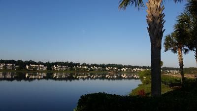 2964 Sweetleaf Ln, Johns Island, SC 29455