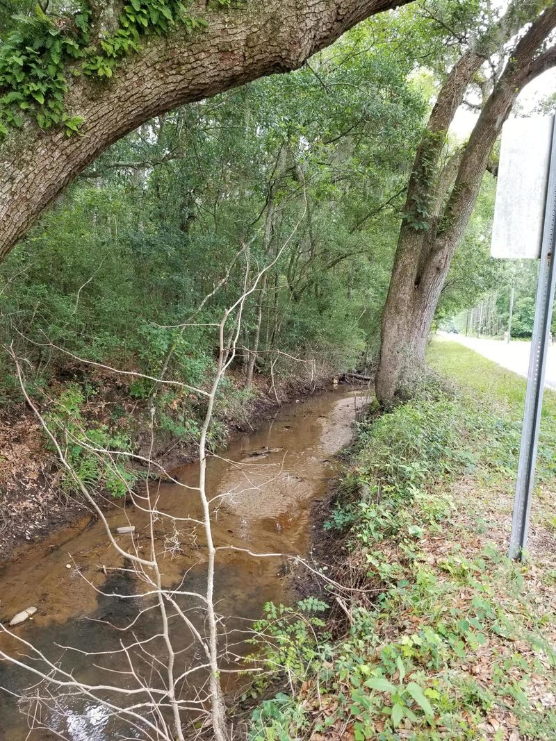 330 Society Rd, Mcclellanville, SC 29458