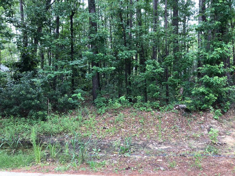 Lot 53 Pecan Dr, Summerville, SC 29483