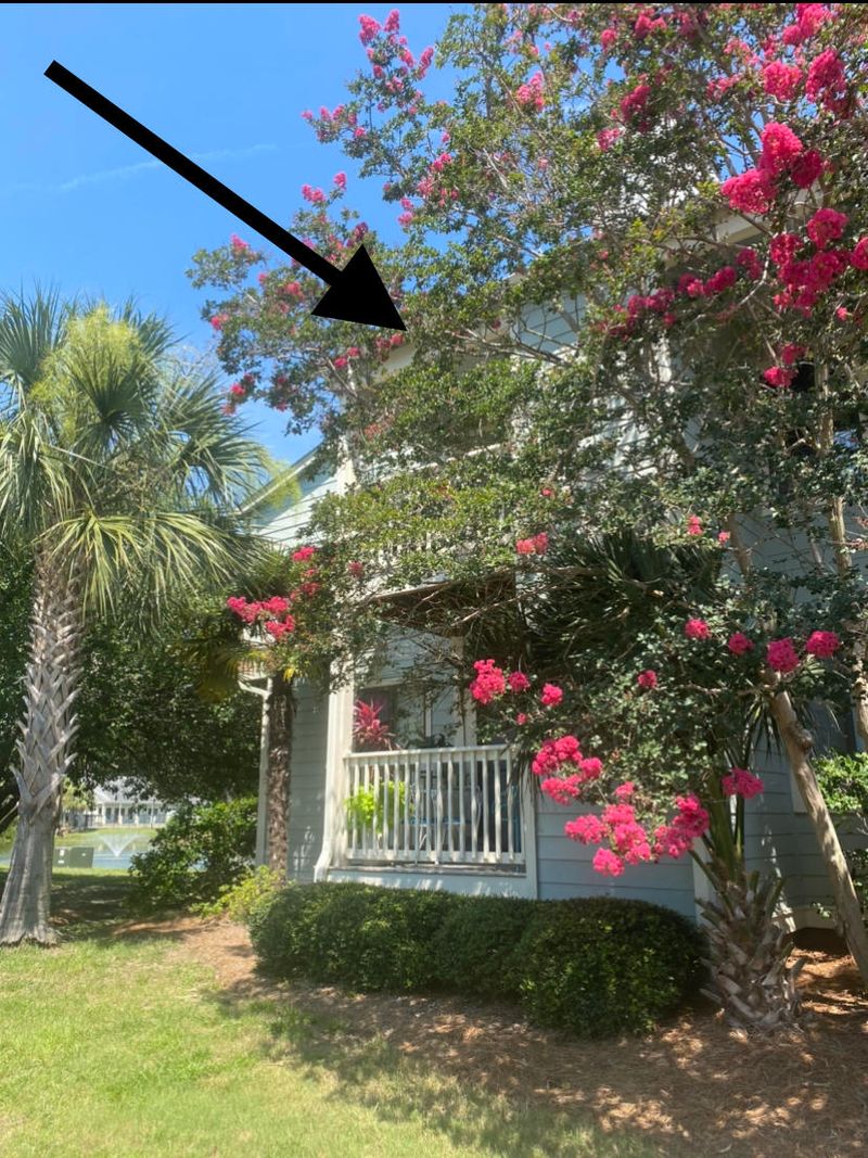 1481 Center St #1903, Mount Pleasant, SC 29464