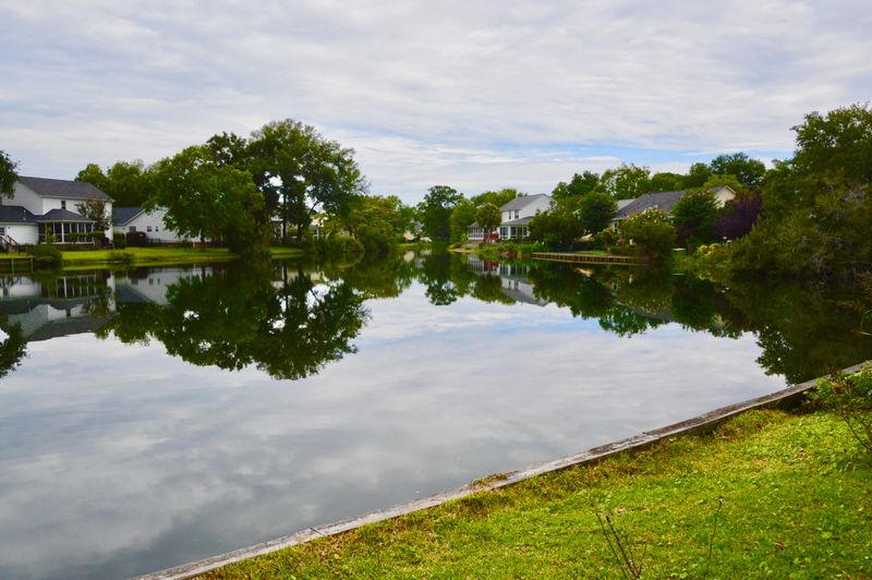 1147 Tidal View Ln, Charleston, SC 29414