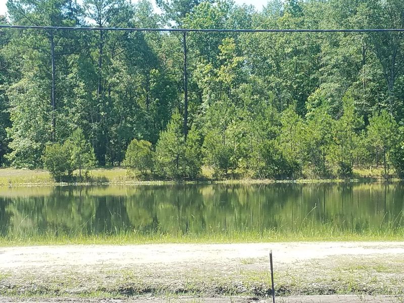5914 Yellow Dog, Ravenel, SC 29470