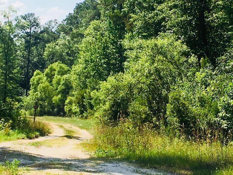 0 Canaan, Ridgeville, SC 29472