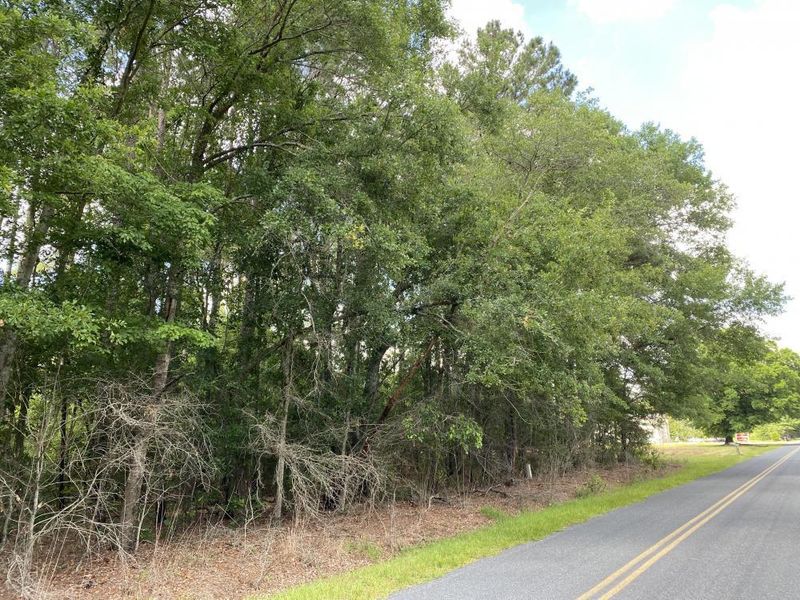 0 Taylor Pond Rd, Dorchester, SC 29437