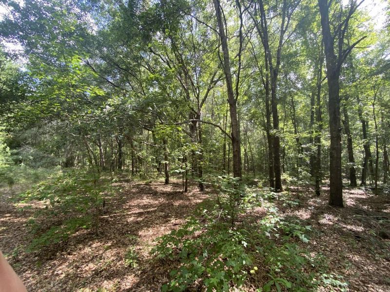 0 Taylor Pond Rd, Dorchester, SC 29437