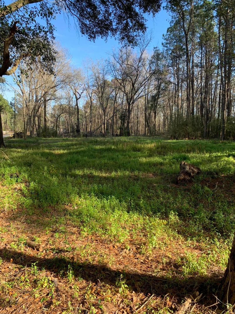 155 Droze Rd, Summerville, SC 29483
