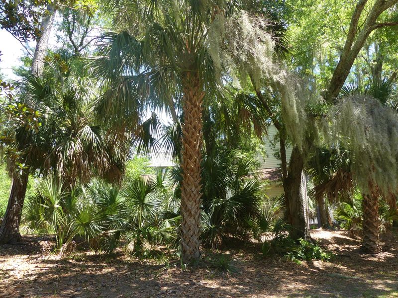 27 Pender Ln, Edisto Beach, SC 29438