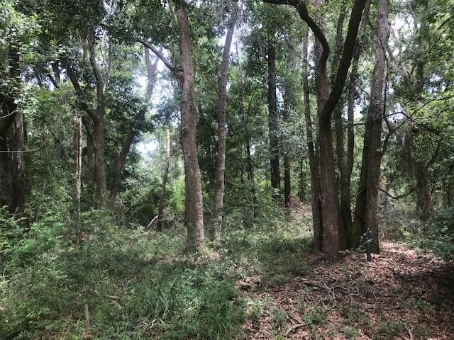 31 Saint Pierre Creek Dr, Edisto Island, SC 29438