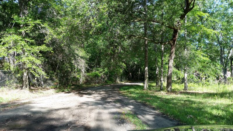 5559 Mary Ravenel Rd, Adams Run, SC 29426