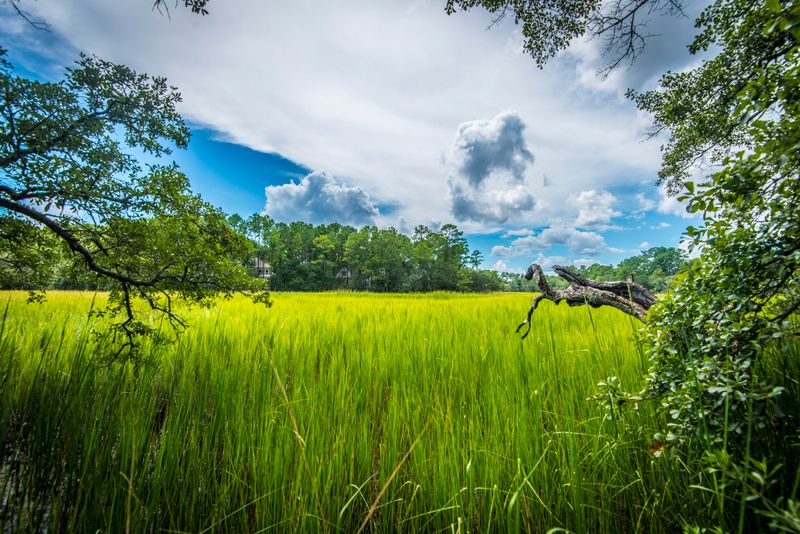 936 Tupelo Bay Dr Lot 24, Mount Pleasant, SC 29464