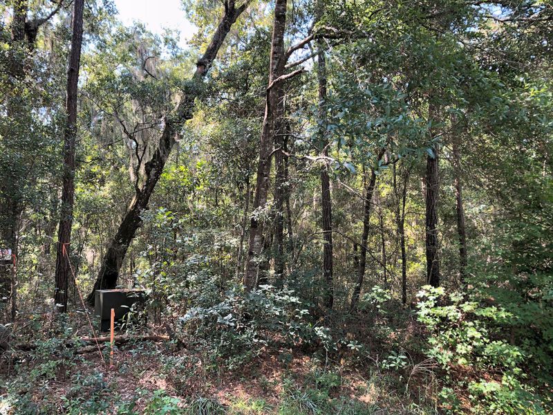 8167 Chisolm Plantation Rd, Edisto Island, SC 29438