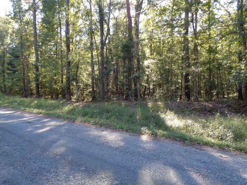 18 B- C Weir St, Summerville, SC 29483