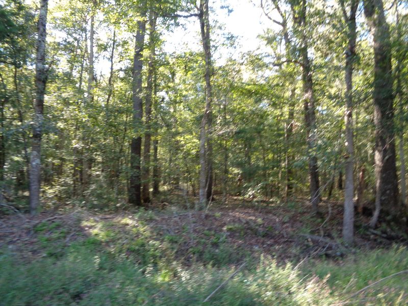 18 B- C Weir St, Summerville, SC 29483