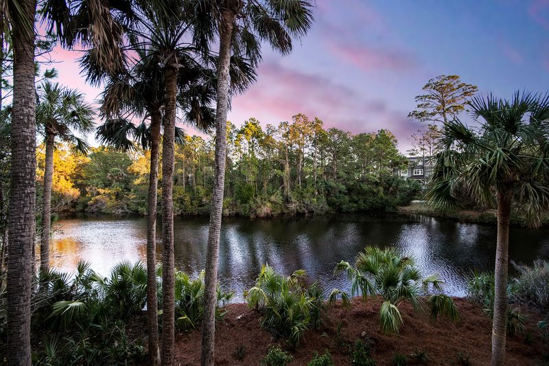 44 Salt Cedar Ln, Kiawah Island, SC 29455