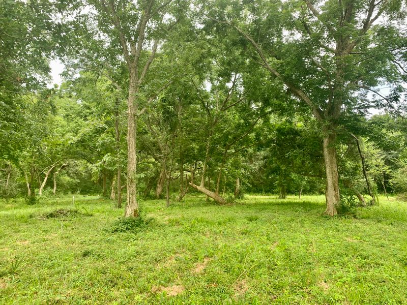 2036 River Bend Dr, Charleston, SC 29412