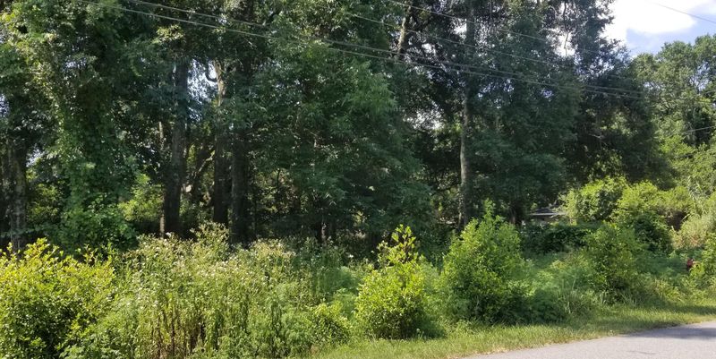303 4th Ave, Mount Pleasant, SC 29464