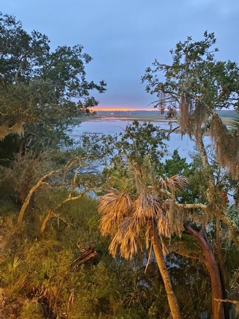 117 Jungle Rd, Edisto Island, SC 29438