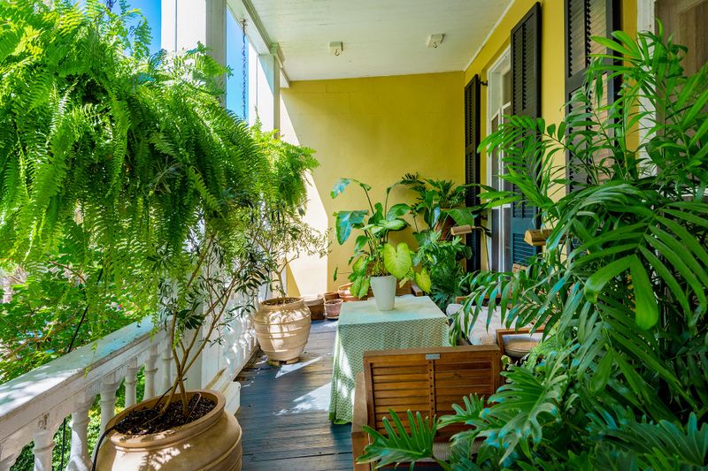 32 Montagu St, Charleston, SC 29401
