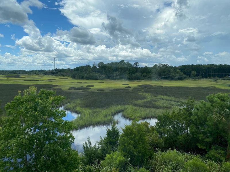 591 Mclernon Tc, Johns Island, SC 29455