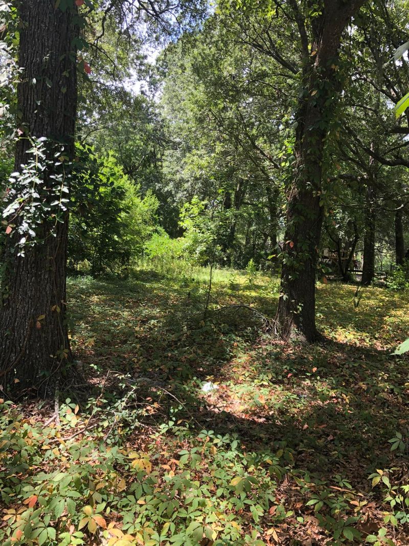 1403 Lieben Rd, Mount Pleasant, SC 29466