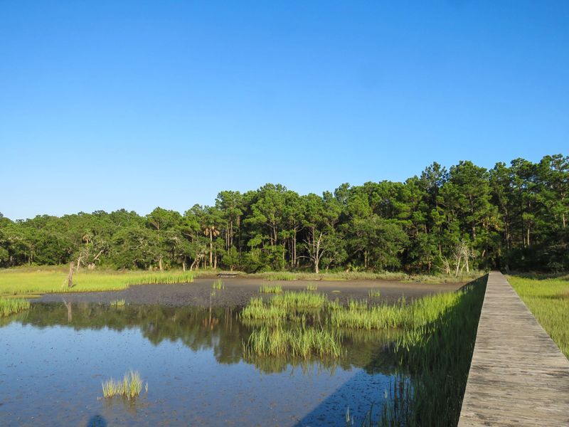 310 Old House Ln Lot 111, Dewees Island, SC 29451