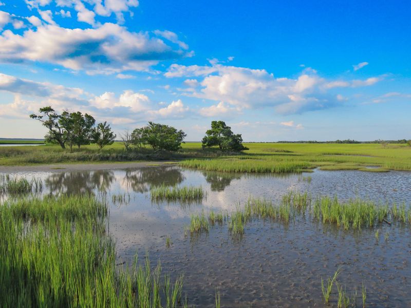 310 Old House Ln Lot 111, Dewees Island, SC 29451