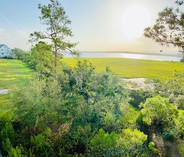 1251 Water View Ln, Charleston, SC 29492