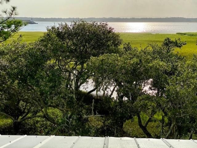 1251 Water View Ln, Charleston, SC 29492