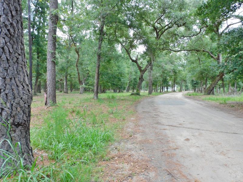 156 Palmetto Pointe Ln, Edisto Island, SC 29438