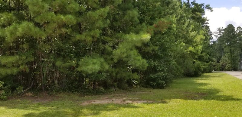 Lot 28 Satling Ct, Ridgeville, SC 29472