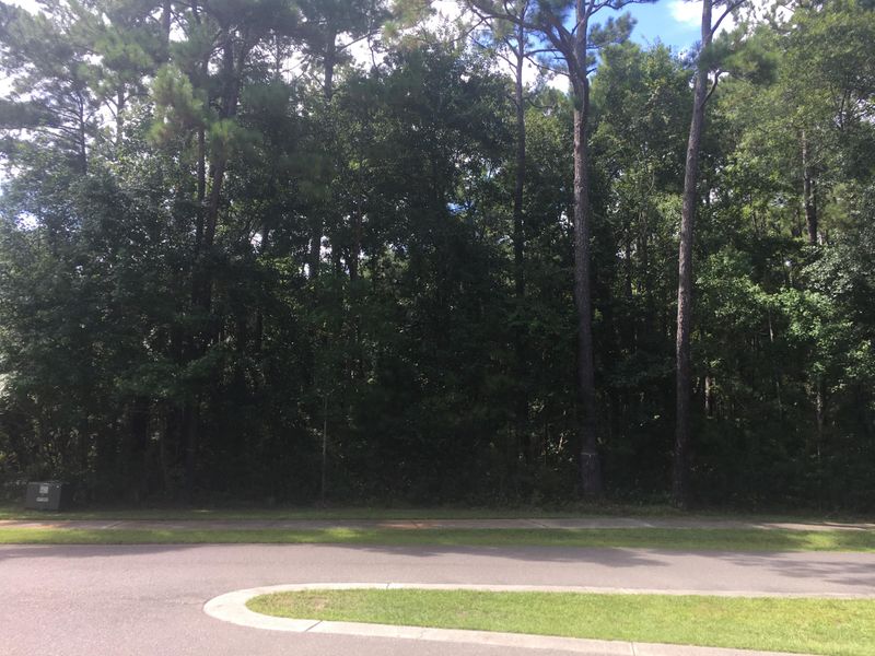 158 Royal Assembly Dr, Charleston, SC 29492