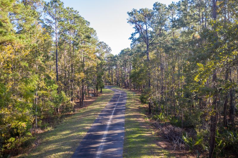 44 Nesting Egret Dr, Johns Island, SC 29455