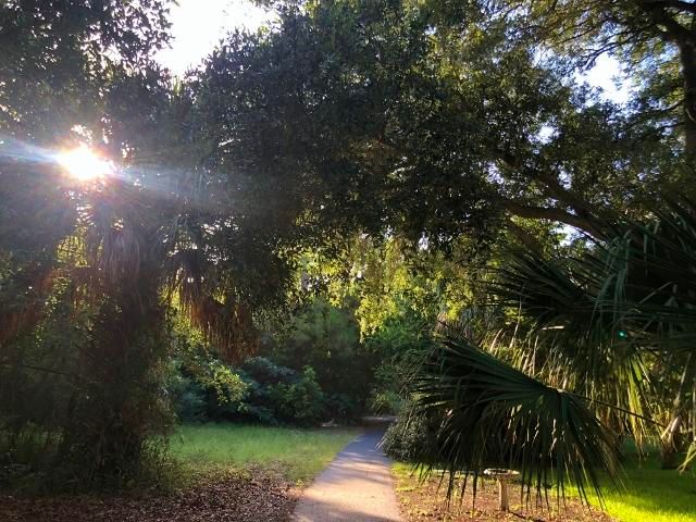3108 Myrtle St, Edisto Island, SC 29438