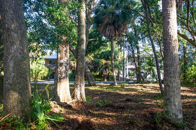 714 Jungle Rd, Edisto Island, SC 29438