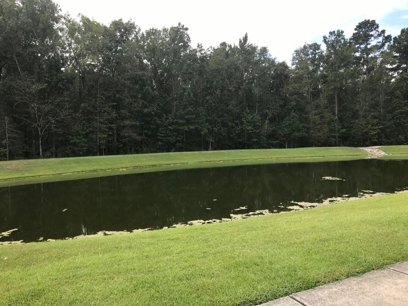 229 Mayfield Dr, Goose Creek, SC 29445