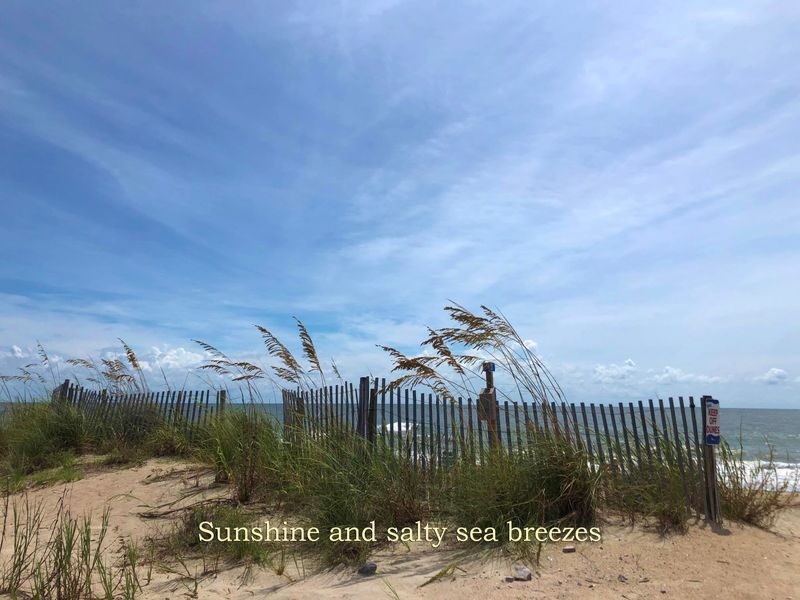 219 Palmetto Blvd, Edisto Island, SC 29438