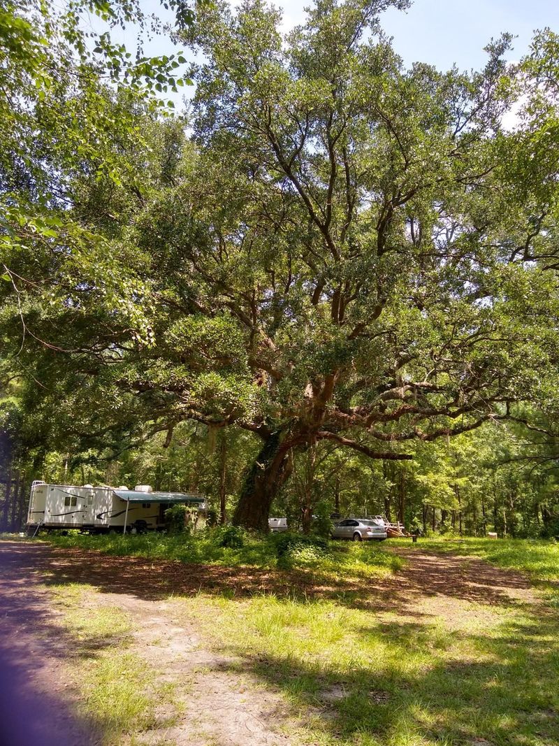 524 - 518 Lewis Ln, Summerville, SC 29486