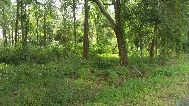 797 Hughes Rd, Johns Island, SC 29455
