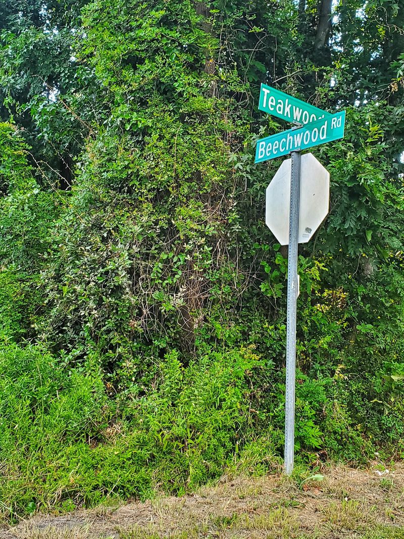 Lot 3 Beechwood Rd, Charleston, SC 29414