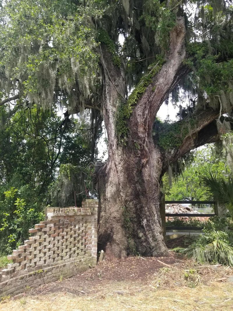 4017 Kaolin St Lot 8, Charleston, SC 29407
