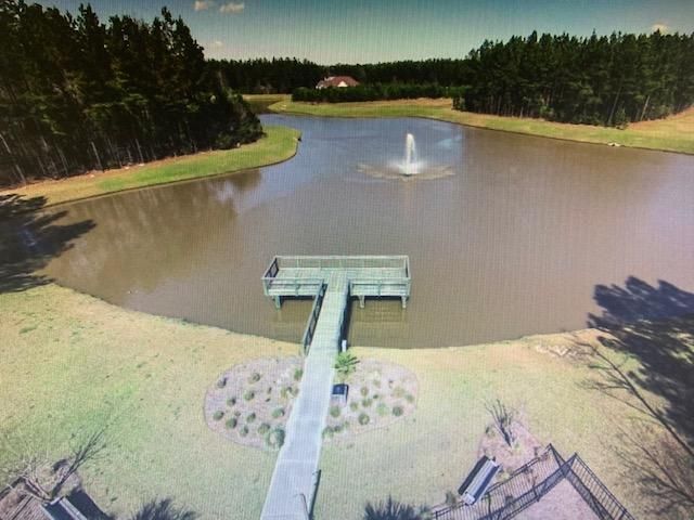 1333 Wood Sorrel, Moncks Corner, SC 29461