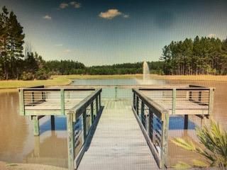 1333 Wood Sorrel, Moncks Corner, SC 29461