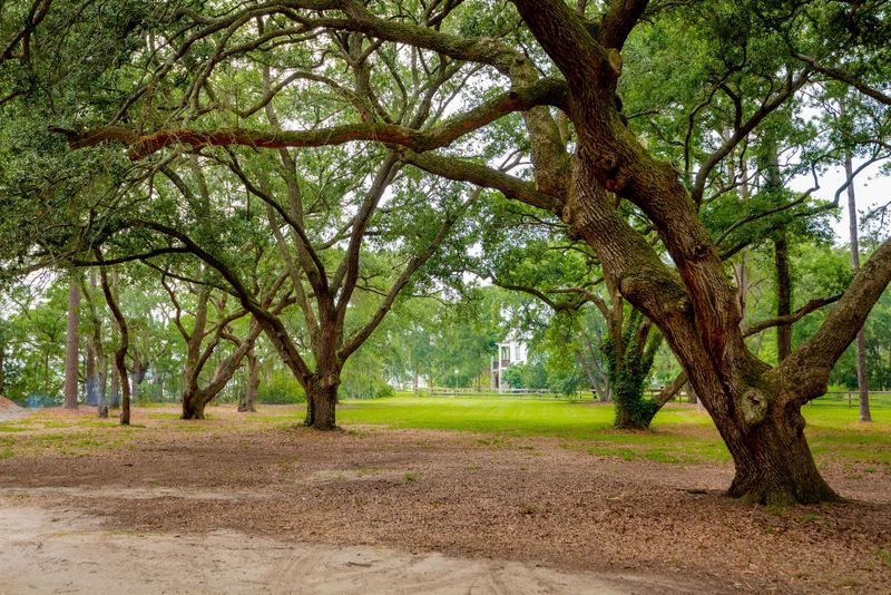 4460 Betsy Kerrison Pw, Johns Island, SC 29455