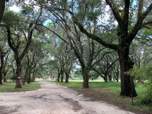 60 Fenwick Hall Allee #322, Johns Island, SC 29455