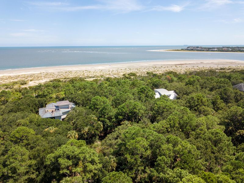 251 Pelican Flight Dr, Dewees Island, SC 29451